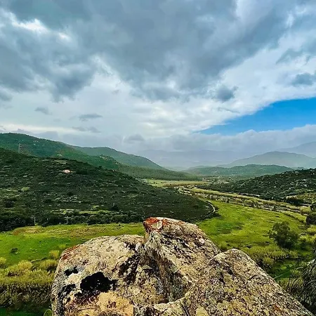 Bouganville * Arbatax